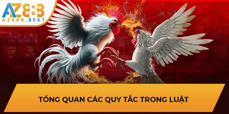 Tổng quan các quy tắc trong luật 