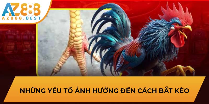 Những yếu tố ảnh hưởng đến cách bắt kèo