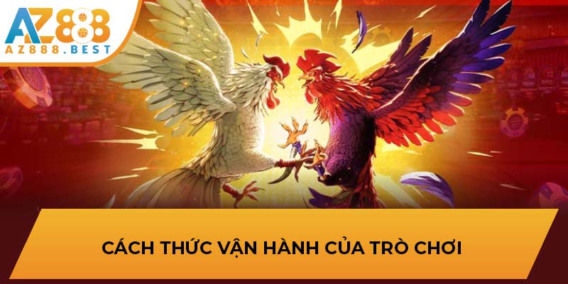 Cách thức vận hành của trò chơi 