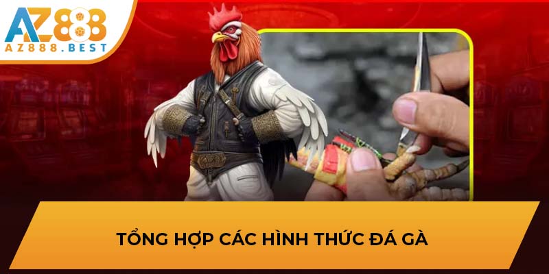 Tổng hợp các hình thức đá gà 