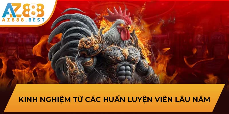 Kinh nghiệm từ các huấn luyện viên lâu năm