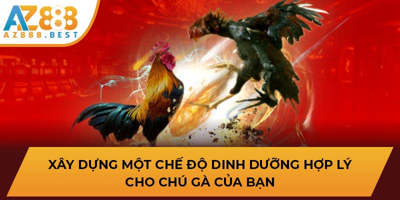 Xây dựng một chế độ dinh dưỡng hợp lý cho chú gà của bạn