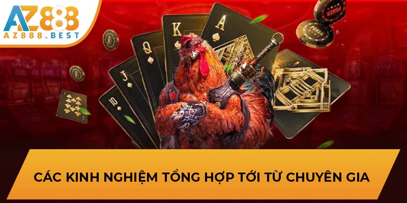 Các kinh nghiệm tổng hợp tới từ chuyên gia 