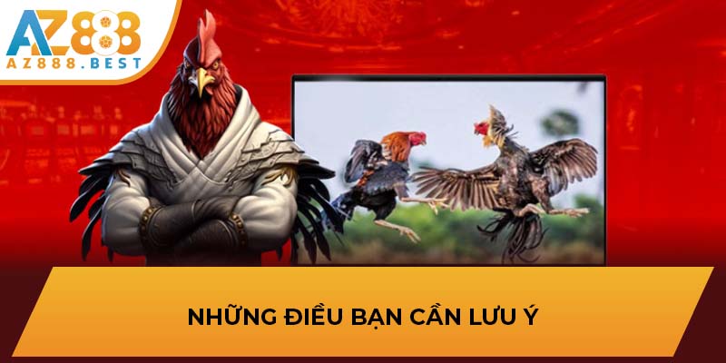 Những điều bạn cần lưu ý