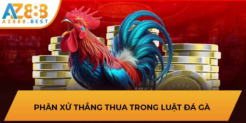 Phân xử thắng thua trong luật đá gà 