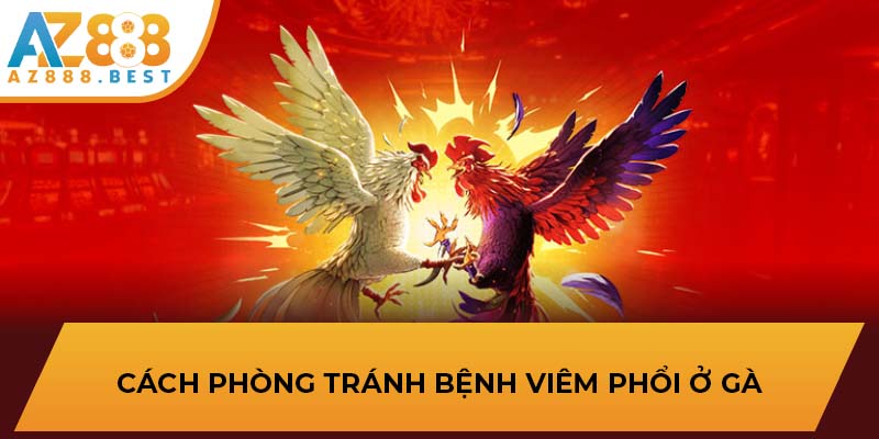 Cách phòng tránh bệnh viêm phổi ở gà